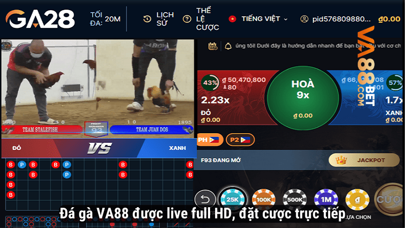 Đá gà VA88 được live full HD, đặt cược trực tiếp