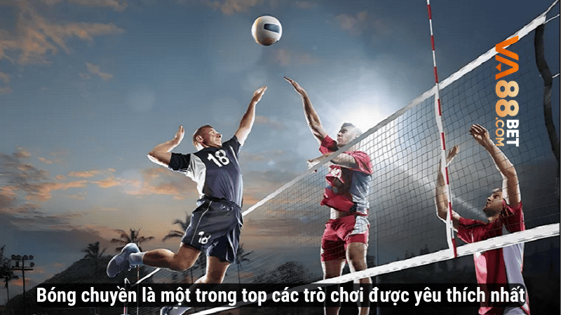 Bóng chuyền là một trong top các trò chơi được yêu thích nhất